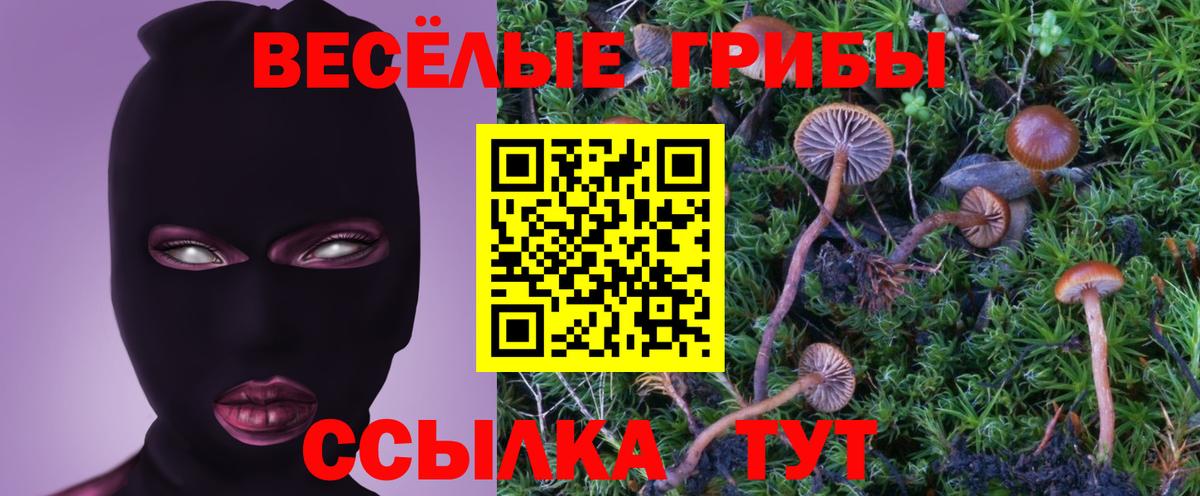 Псилоцибиновые грибы ЛСД Пыть-Ях